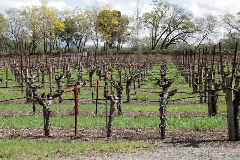 California Wine Country